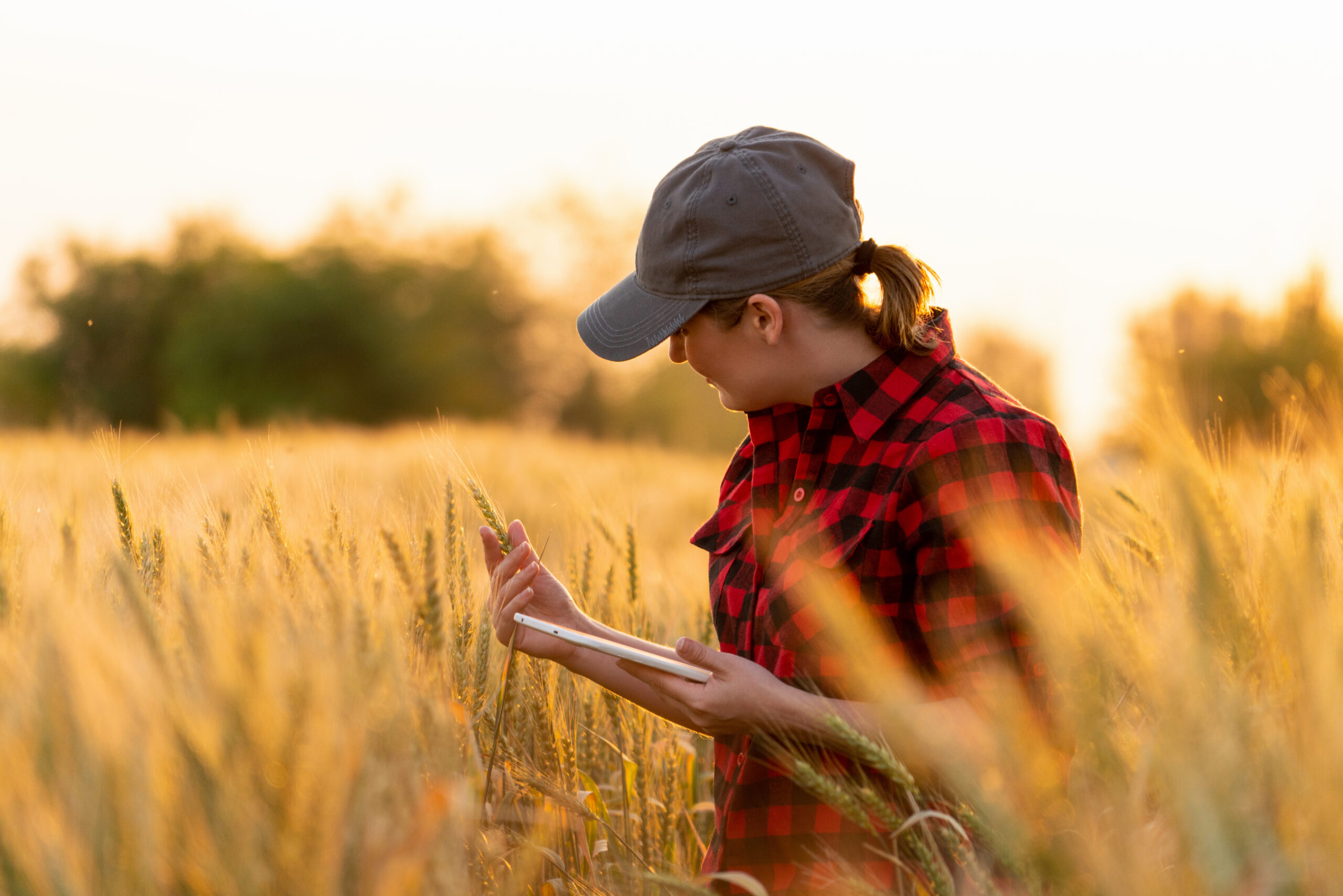 careers-far-australia-far-australia