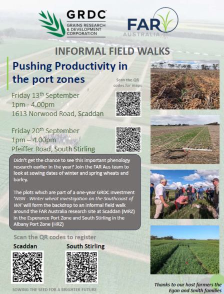 240913-20_WA-WINTER WHEAT FIELD DAYS_FINAL