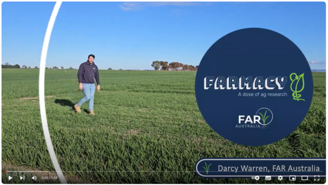 Screenshot 2024-08-28 060139