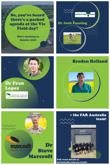 Screenshot 2024-10-01 130021