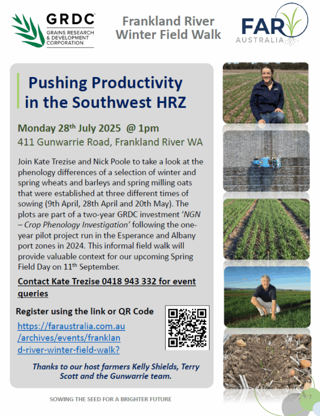 Screenshot 2025-06-11 151511