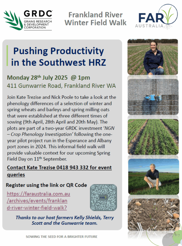 Screenshot flyer - updated