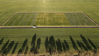 Bordertown drone image 2025