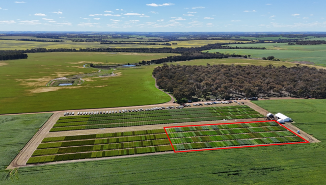 Screenshot 2026-03-23 165700